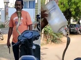 स्कूटी में छिपा था कोबरा, शख्स ने सांप को पकड़ने के लिए किया गजब जुगाड़, Video देख खड़े हो जाएंगे रोंगेटे स्कूटी में छिपा था कोबरा, शख्स ने सांप को पकड़ने के लिए किया गजब जुगाड़, Video देख खड़े हो जाएंगे रोंगेटे