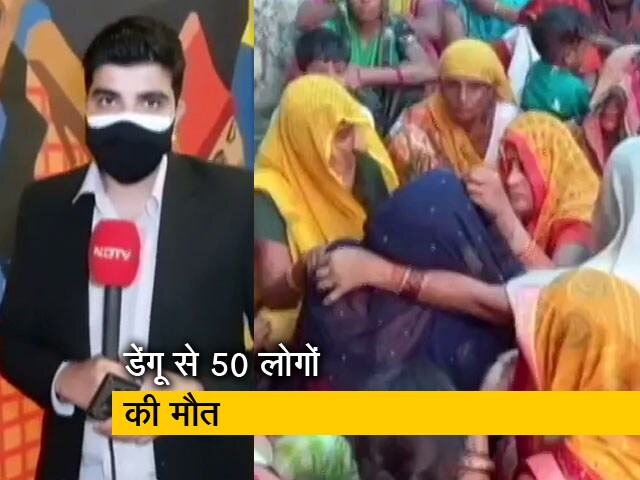 सिटी सेंटर : फिरोजाबाद में डेंगू का कहर, अब एक महीने तक कूलर बंद