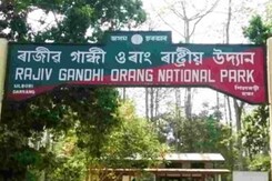 Rajiv Gandhi's Name To Be Removed From National Park In Assam Rajiv Gandhi's Name To Be Removed From National Park In Assam