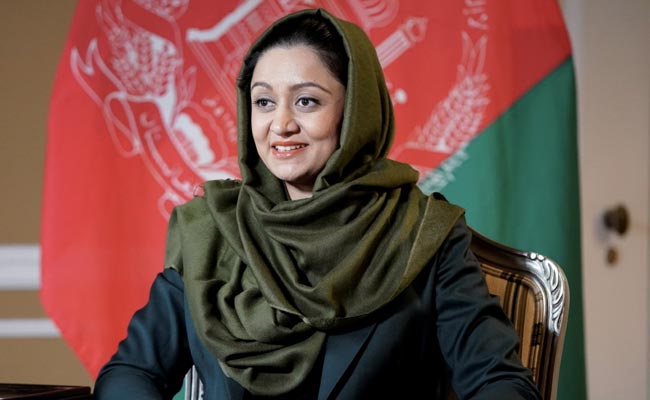 Who To Blame For Taliban Takeover? Former Afghan Envoy Points Finger At Kabul