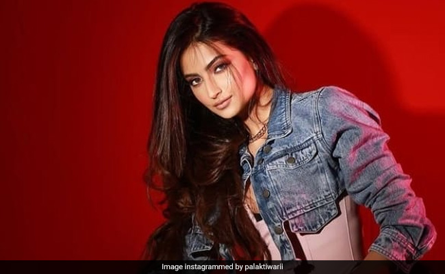 श्वेता तिवारी की बेटी की लेटेस्ट फोटो हुई वायरल, डेनिम जैकेट में पलक तिवारी खूब लगी स्टाइलिश श्वेता तिवारी की बेटी की लेटेस्ट फोटो हुई वायरल, डेनिम जैकेट में पलक तिवारी खूब लगी स्टाइलिश