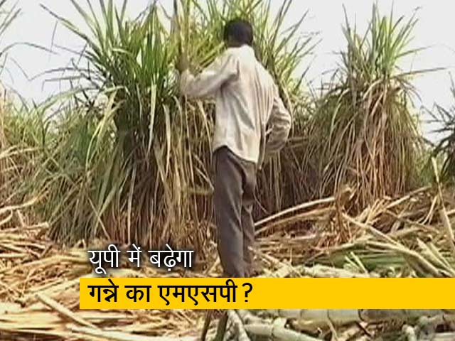 क्या उत्तर प्रदेश सरकार बढ़ाएगी गन्ने का MSP?