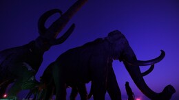 Will Bring Back Extinct Woolly Mammoth, Claims Bioscience Firm