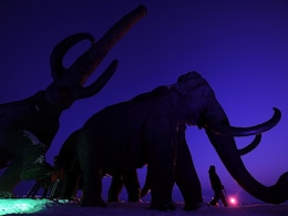 Will Bring Back Extinct Woolly Mammoth, Claims Bioscience Firm