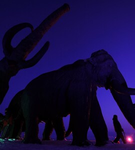 Will Bring Back Extinct Woolly Mammoth Claims Bioscience Firm