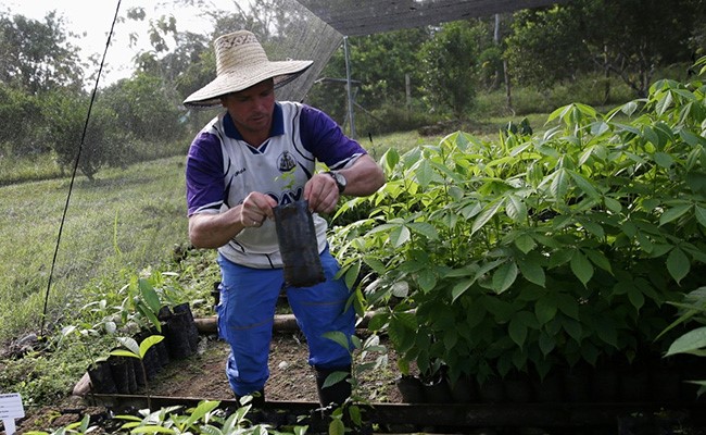 In "World's Most Dangerous Country" For Climate Activists, Killings Hit Record