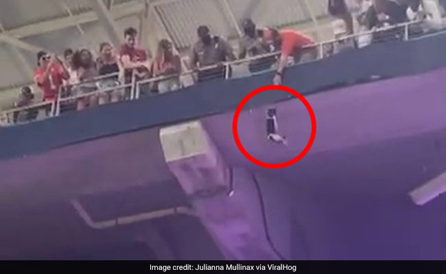 Stadium-Goers Catch Falling Cat With Flag In Viral Video