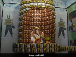 Gujarat Woman Decorates Ganesh Idol With Food Packets, Sends Important Message