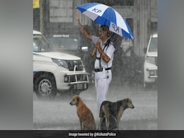 भारी बारिश में ट्रैफिक पुलिसकर्मी ने बेसहारा कुत्तों को अपनी छतरी के नीचे दिया सहारा, फोटो ने जीता लोगों का दिल भारी बारिश में ट्रैफिक पुलिसकर्मी ने बेसहारा कुत्तों को अपनी छतरी के नीचे दिया सहारा, फोटो ने जीता लोगों का दिल