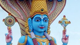 What And When Is 'Yogini Ekadashi' 2022: Know Significance, Prayer Timings And Fasting Rituals