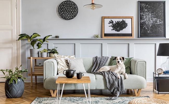 Home Decor Tips: How To Revamp Your Space With Colourful Gen-Z Aesthetics