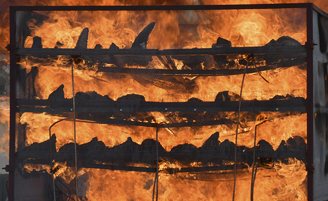 Assam Creates History, Burns 2,479 Rare Rhino Horns On World Rhino Day