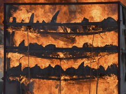 Assam Creates History, Burns 2,479 Rare Rhino Horns On World Rhino Day Assam Creates History, Burns 2,479 Rare Rhino Horns On World Rhino Day