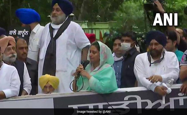 Akali's Sukhbir Badal, Harsimrat Kaur Detained In Delhi Over Farm Protest