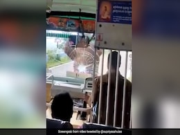 हाथी ने बस पर कर दिया Attack, तो ड्राइवर ने ऐसे शांत किया हाथी का गुस्सा, लोग बोले- इसको कहते हैं दिमाग से काम लेना हाथी ने बस पर कर दिया Attack, तो ड्राइवर ने ऐसे शांत किया हाथी का गुस्सा, लोग बोले- इसको कहते हैं दिमाग से काम लेना