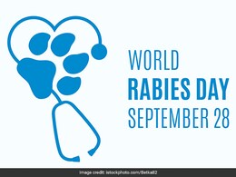 World Rabies Day 2023: इंसानों में रेबीज होने पर कैसे लक्षण दिखते हैं? जानिए क्या रेबीज पूरी तरह से ठीक हो सकता है World Rabies Day 2023: इंसानों में रेबीज होने पर कैसे लक्षण दिखते हैं? जानिए क्या रेबीज पूरी तरह से ठीक हो सकता है
