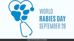 World Rabies Day 2024: Theme, History, Importance & Immediate Care Tips For Animal Bites