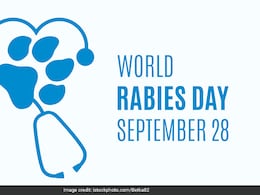 World Rabies Day 2024: Theme, History, Importance & Immediate Care Tips For Animal Bites World Rabies Day 2024: Theme, History, Importance & Immediate Care Tips For Animal Bites