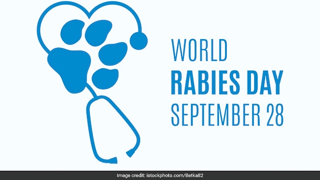 World Rabies Day 2024: After cleaning the wound, apply an antiseptic