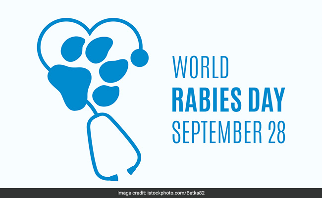 World Rabies Day 2024: After cleaning the wound, apply an antiseptic