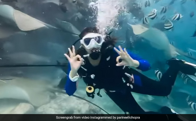 Into The Blue With Scuba Fan Parineeti Chopra. See What She Signalled Underwater