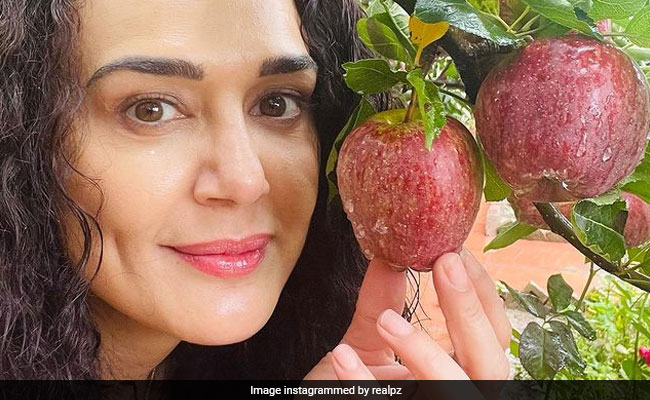 फार्म हाउस पर प्रीति जिंटा कर रहीं 'चिल', सेब के पेड़ के साथ शेयर की Photo