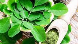 Benefits Of Moringa Leaves And Ways To Incorporate Into Your Daily Diet