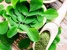 Benefits Of Moringa Leaves And Ways To Incorporate Into Your Daily Diet