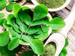 How To Make Moringa Powder - Easy Tips You Must Follow How To Make Moringa Powder - Easy Tips You Must Follow