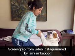 गौतमी कपूर डॉगी संग डांस करती आईं नजर तो फैन्स ने पूछा- राम कपूर कहा चले गए...देखें Video