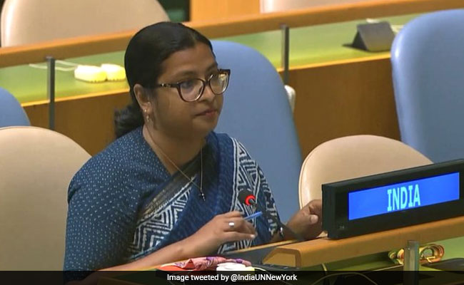 Pak Supports "Culture Of Violence" At Home, Across Borders: India At UN