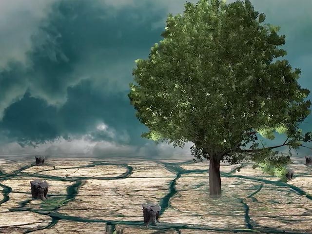 Climate Crisis In India: What Does IPCC Report Say?