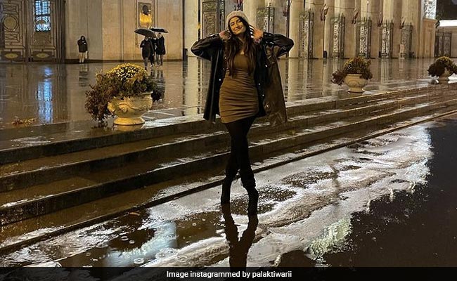 पलक तिवारी ने तेज ठंड में ठिठुरते हुए शेयर कीं फोटोज, मॉम Shweta Tiwari बोलीं- माय प्रीटी गर्ल...