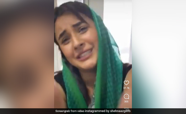 शहनाज गिल घर में फूट-फूट कर रोती आईं नजर, बोलीं- क्या पता था बर्तन धोने पड़ जाएंगे