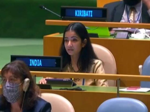 Pak Globally Recognised For Openly Supporting Terrorists: India At UN