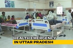 50 Children Among 60 To Die Of Dengue In Uttar Pradesh 50 Children Among 60 To Die Of Dengue In Uttar Pradesh