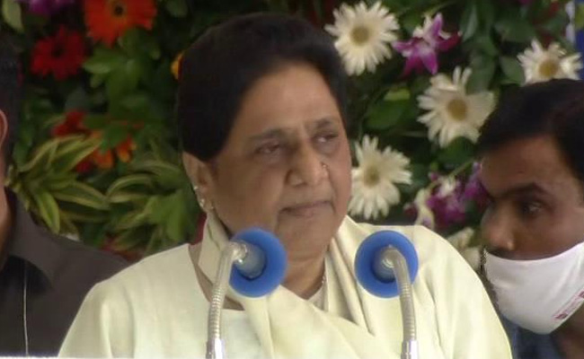 Mayawati Slams UP Government Over "Lack Of Medical Facilities" Amid Dengue Outbreak