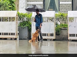 Ratan Tata's Shout-Out For Taj Employee Who Shared Umbrella With Stray Dog Ratan Tata's Shout-Out For Taj Employee Who Shared Umbrella With Stray Dog