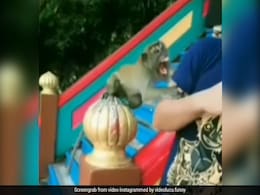 बंदर के साथ पोज़ बनाकर सेल्फी ले रहा था शख्स, तभी बंदर को आ गया गुस्सा, कर डाला ये हाल - देखें Video बंदर के साथ पोज़ बनाकर सेल्फी ले रहा था शख्स, तभी बंदर को आ गया गुस्सा, कर डाला ये हाल - देखें Video