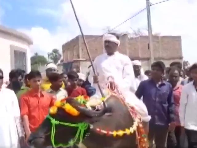 Bihar Panchayat Poll Candidate Arrives On Buffalo To File Nomination