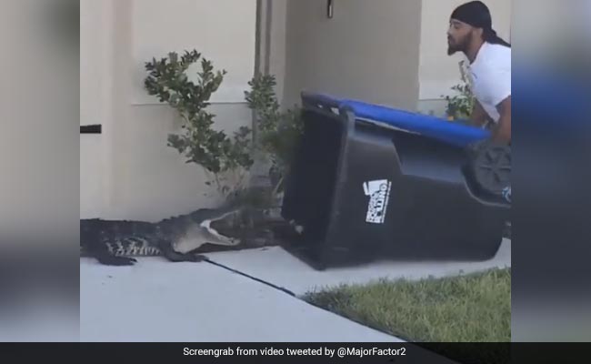 घर में घुस आया मगरमच्छ, तो शख्स ने किया गजब कारनामा, कूड़ेदान में ऐसे जानवर को फंसाया, फिर किया कुछ ऐसा - देखें Video