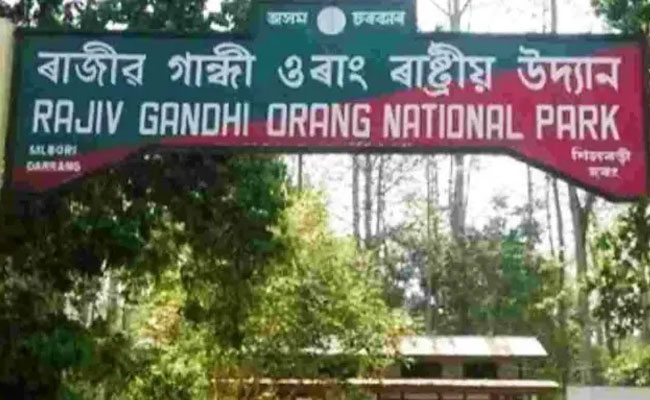 BJP, Congress Bicker After Assam Tiger Reserve Sheds Rajiv Gandhi Name