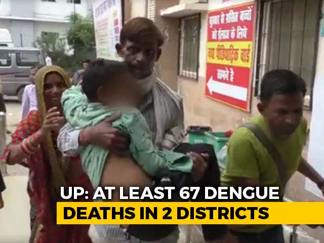 Woman Falls At Doctor's Feet, Desperation In UP District Hit By Dengue