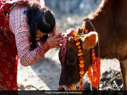 Kab Hai Govats Dwadashi 2021 : मान्यता है गाय के दर्शन भर से मिल जाता है दान और यज्ञ जितना पुण्य, इस दिन ऐसे करें पूजा और ये है शुभ मुहूर्त Kab Hai Govats Dwadashi 2021 : मान्यता है गाय के दर्शन भर से मिल जाता है दान और यज्ञ जितना पुण्य, इस दिन ऐसे करें पूजा और ये है शुभ मुहूर्त