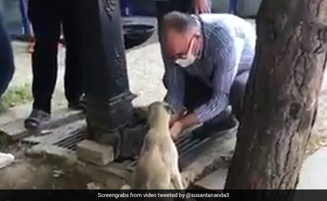 Watch: A Thirsty Dog Was Struggling To Get Water From Tap, Then A Man Did This