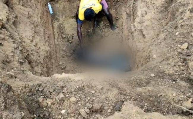 Cops Suspect Culling As Bodies Of 40 Dogs Found In Karnataka Village