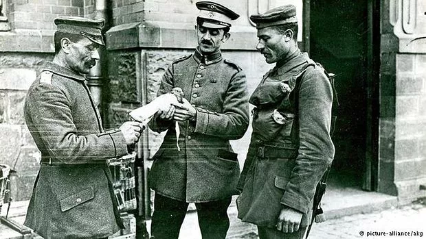 कबूतर फ़ोटो खींचता है, चूहा नौकरी करता है, जासूसी की दुनिया के बेताज बादशाह हैं ये जीव