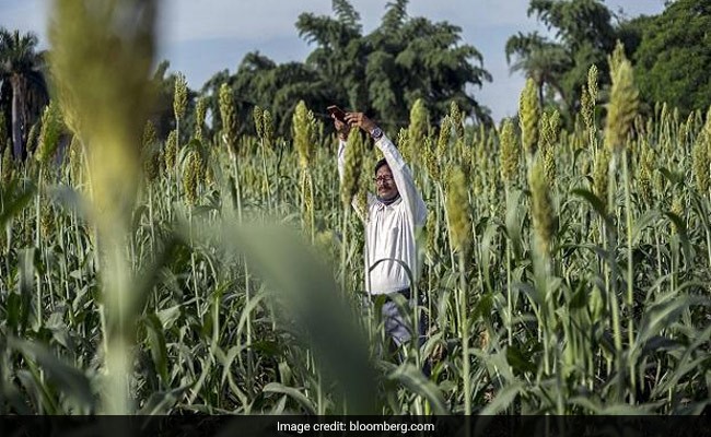 Amazon, Microsoft Swoop In On $24 Billion India Farm-Data Trove