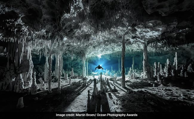 Amazing Pics From Ocean Photography Awards 2021