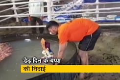 मुंबई: डेढ़ दिन के गणपति बप्पा की धूमधाम से विदाई, कोरोना नियमों का रखा जा रहा ध्यान मुंबई: डेढ़ दिन के गणपति बप्पा की धूमधाम से विदाई, कोरोना नियमों का रखा जा रहा ध्यान